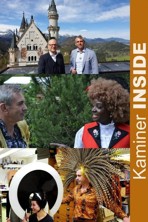 Постер: Kaminer Inside