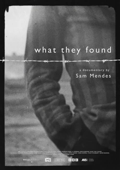 Постер: What They Found