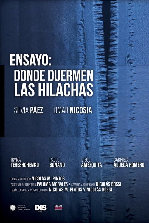 Постер: Ensayo: Donde duermen las hilachas