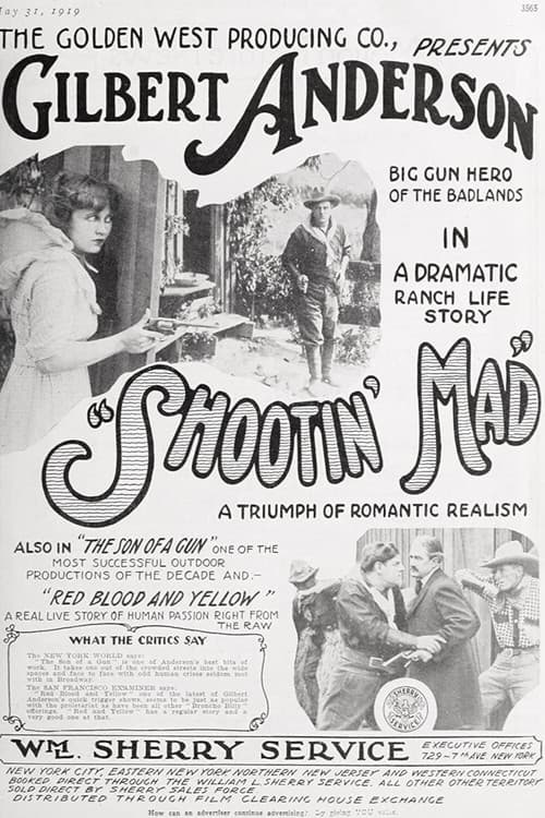 Постер: Shootin' Mad