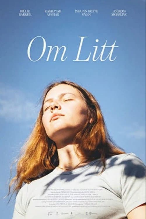 Постер: Om Litt