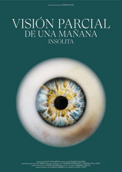 Постер: Visión Parcial de una Mañana Insólita