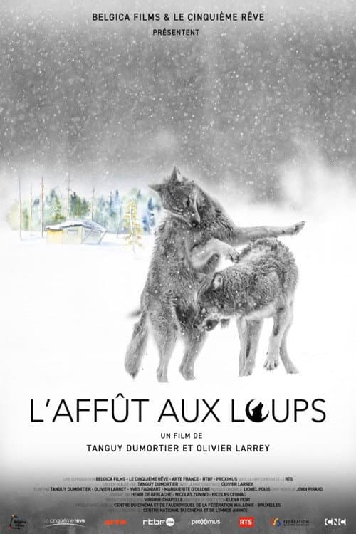 Постер: L'Affût aux loups