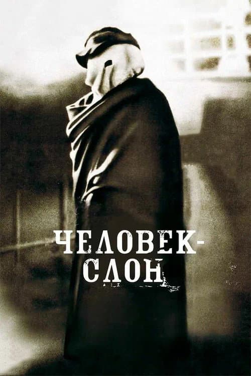 Кадр 2