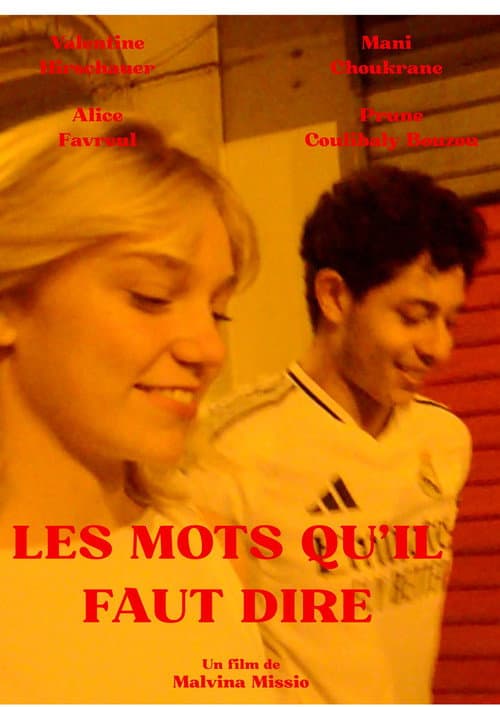 Постер: Les mots qu'il faut dire