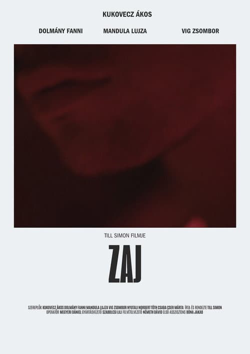 Постер: Zaj