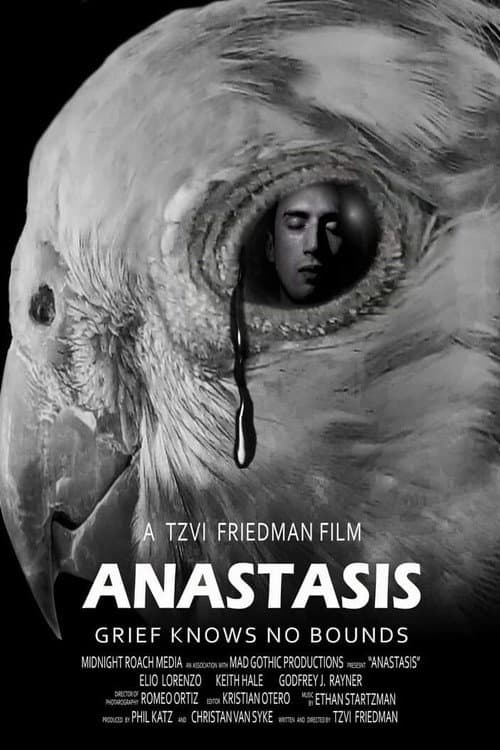Постер: Anastasis