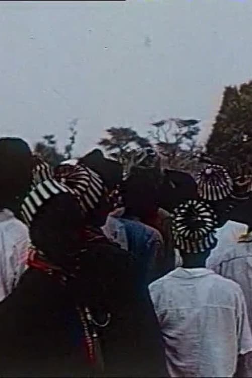 Постер: Réjouissances sénégalaises