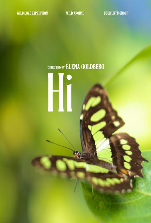 Постер: Hi (2025/II)