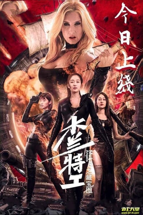 Постер: 木兰特工之藏宝图