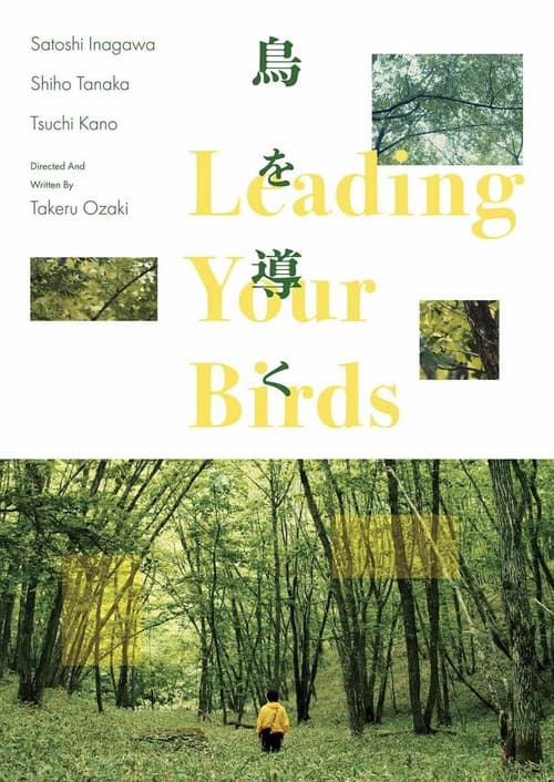 Постер: 鳥を導く