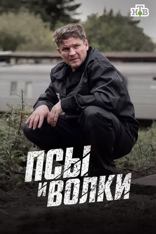 Кадр 2