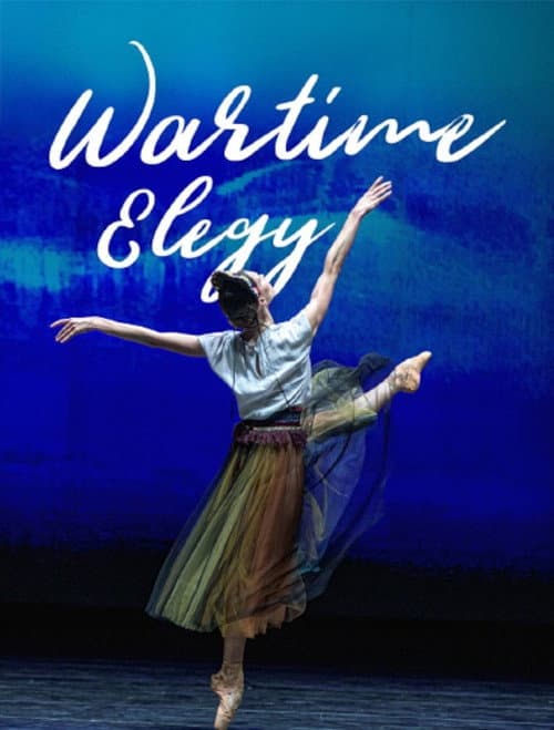 Постер: Wartime Elegy - Une soirée de ballet à l'Opéra national d'Ukraine