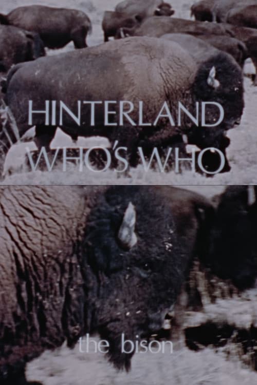 Постер: Hinterland Who's Who: The Bison