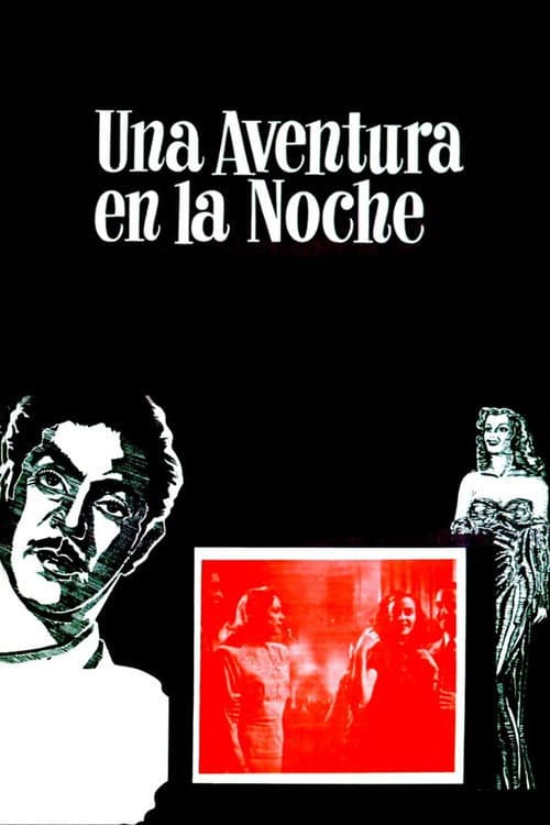 Постер: Una aventura en la noche