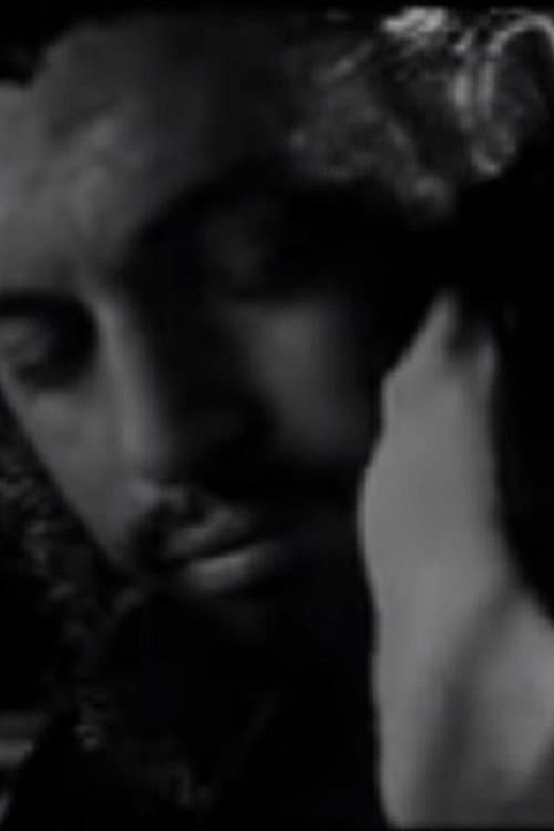 Постер: Meeting Che Guevara & the Man from Maybury Hill