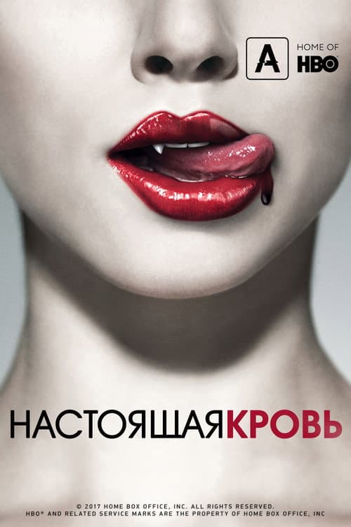 Кадр 2