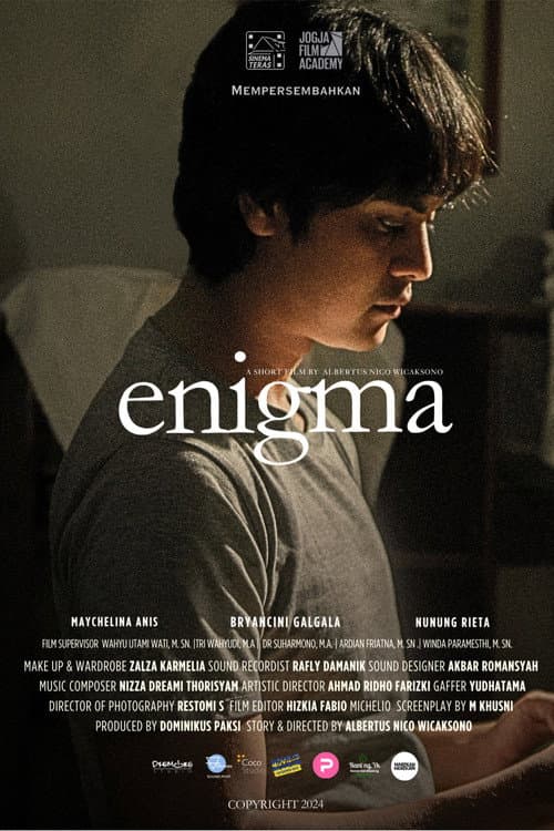 Постер: Enigma