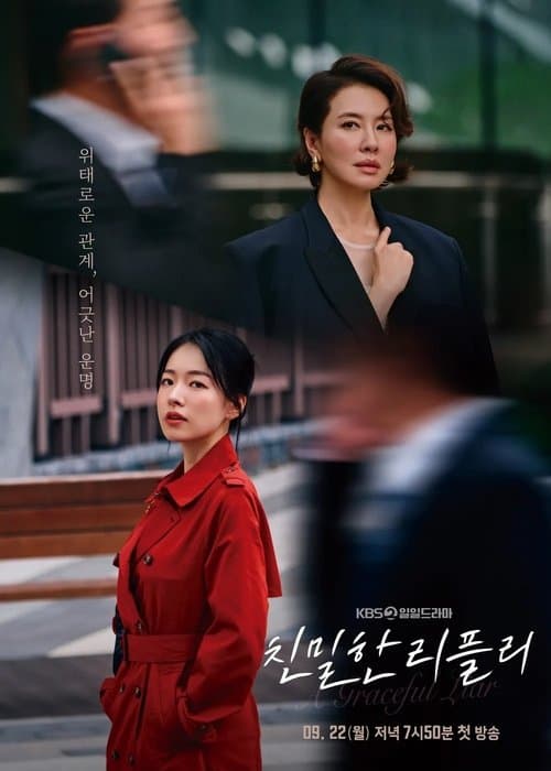 Постер: 친밀한 리플리