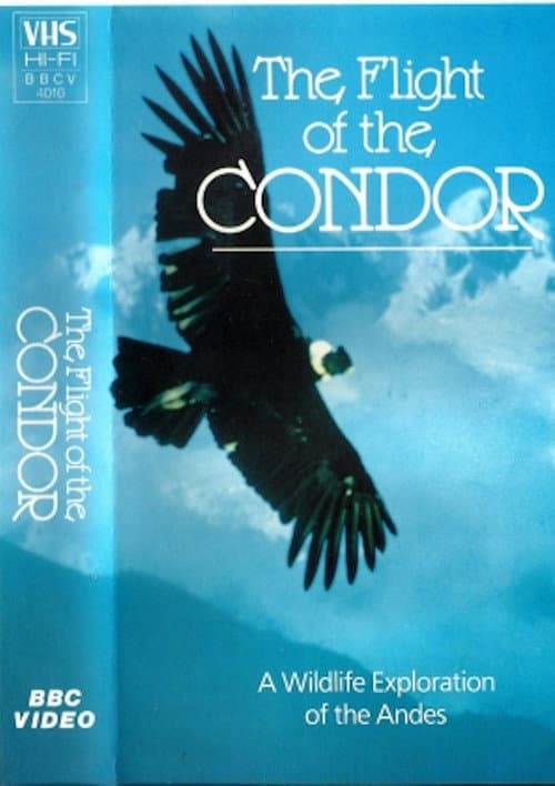 Постер: The Flight of the Condor