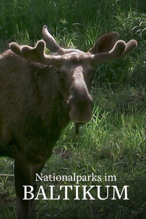 Постер: Nationalparks im Baltikum