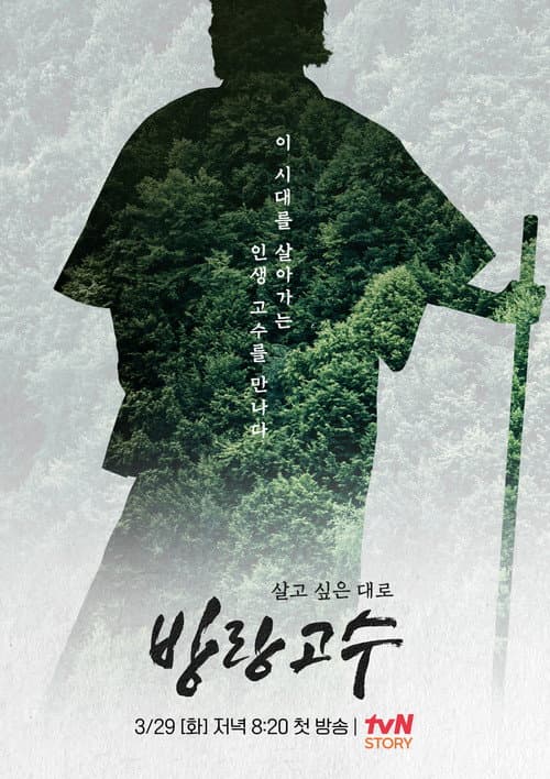 Постер: 방랑고수