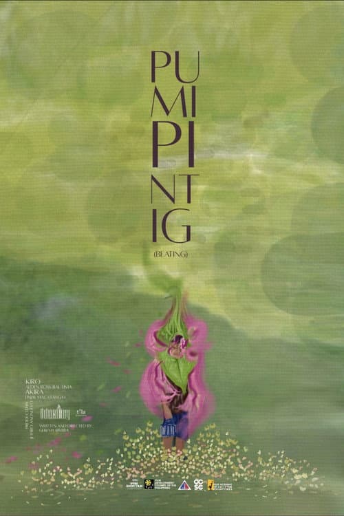Постер: pumipintig