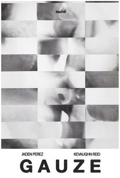Постер: Gauze