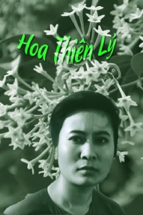 Постер: Hoa Thiên Lý