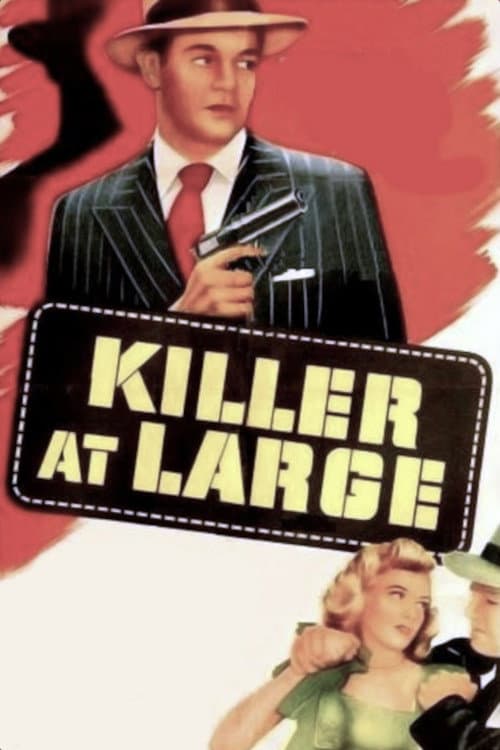 Постер: Killer at Large