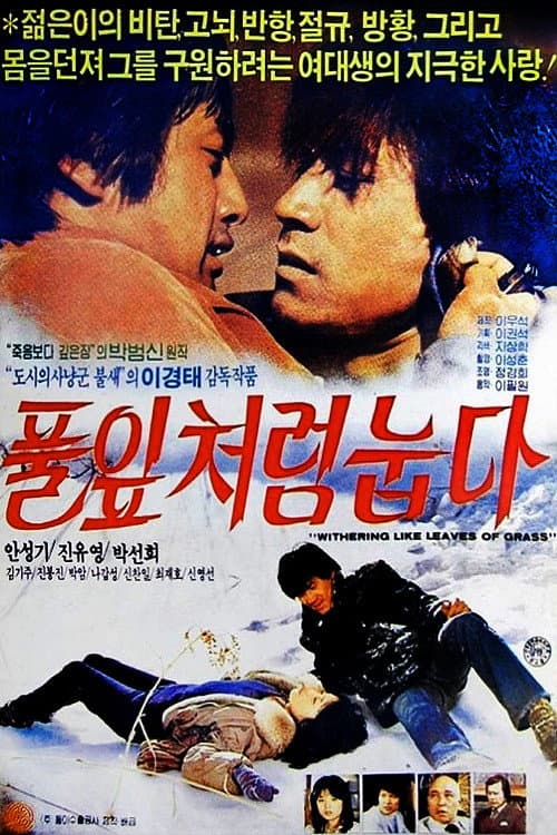 Постер: 풀잎처럼 눕다