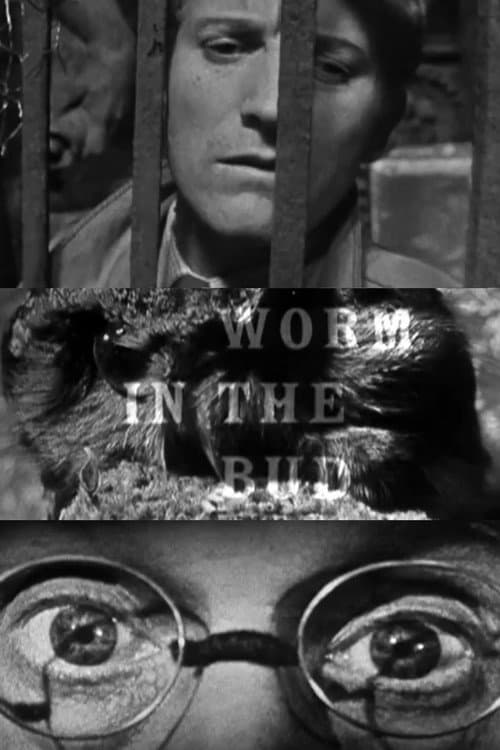 Постер: Worm in the Bud