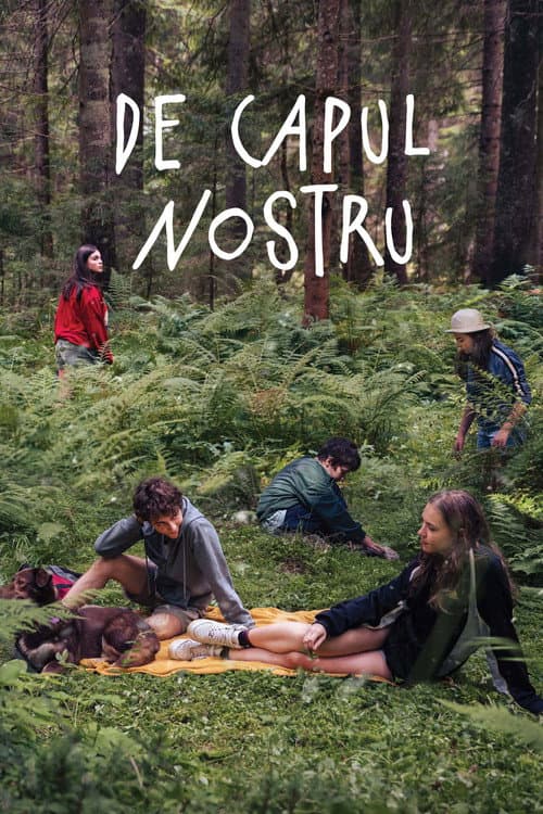 Постер: De capul nostru