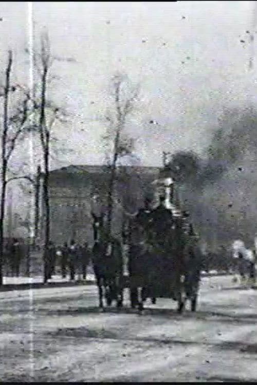 Постер: Chicago Fire Department Runs