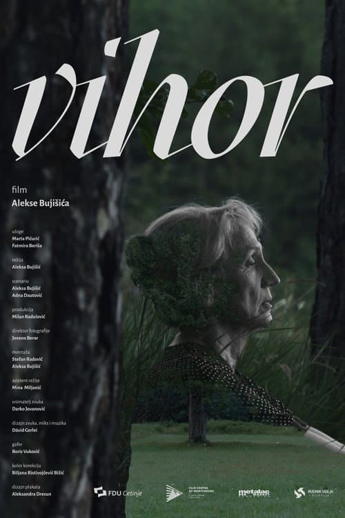 Постер: Vihor