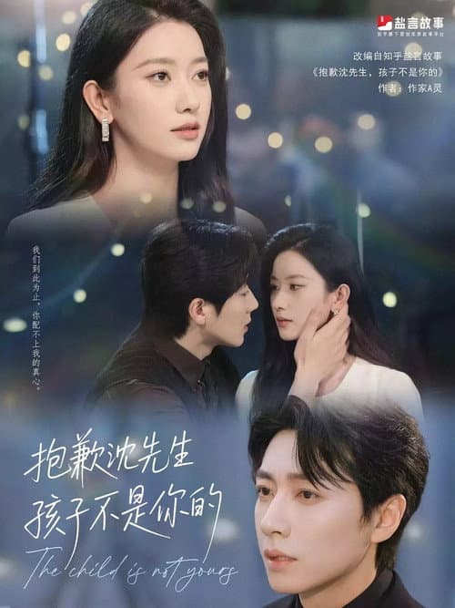 Постер: 抱歉沈先生,孩子不是你的