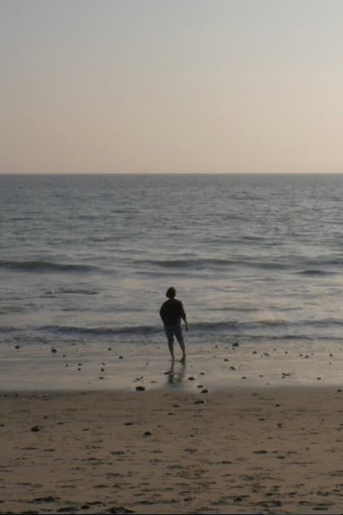 Постер: Last Summer