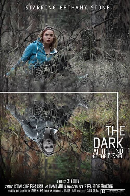 Постер: The Dark at the End of the Tunnel