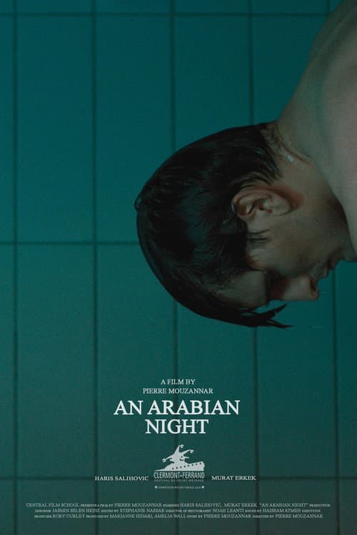 Постер: An Arabian Night