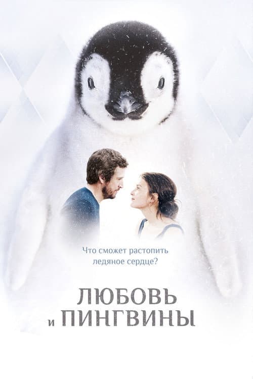 Постер: Любовь и пингвины