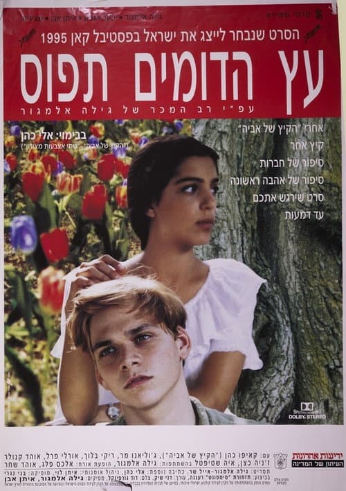 Постер: עץ הדומים תפוס