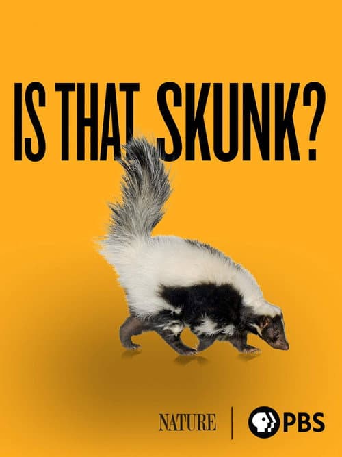 Постер: Is That Skunk?