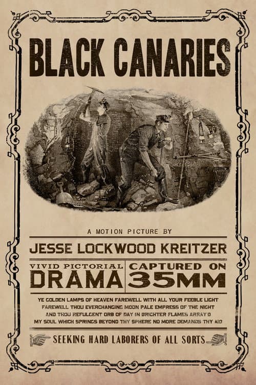 Постер: Black Canaries