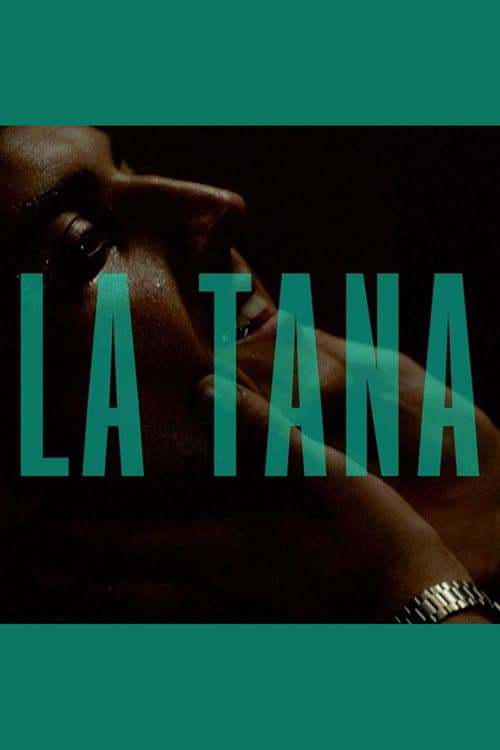 Постер: La tana