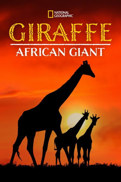 Постер: Giraffe: African Giant