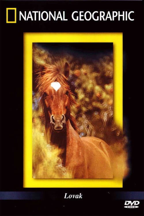 Постер: The Noble Horse