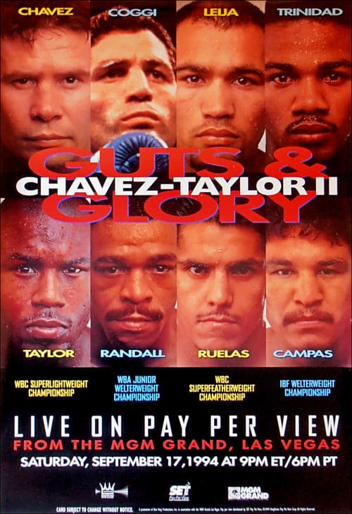 Постер: Julio César Chávez vs. Meldrick Taylor II