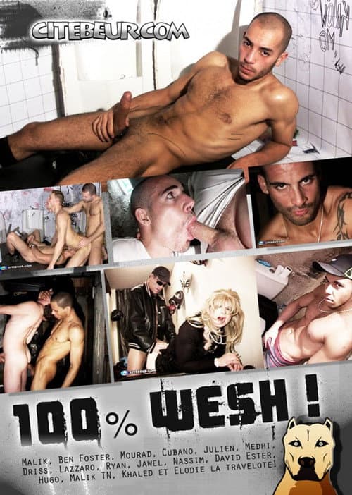 Постер: 100% Wesh!
