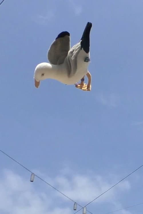 Постер: Double Jump