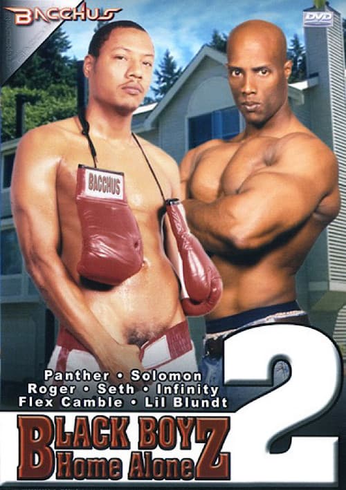 Постер: Black Boyz Home Alone 2